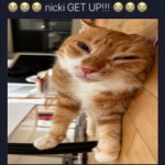 Avatar of y0urfoematt