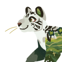 Thumbnail image for MYO-2073: Nyphea