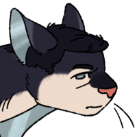 Thumbnail for MYO-2947: my coworker losing his fucking mind