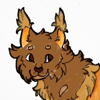 Thumbnail for PND-1464: Honeybear