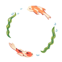 Koi Pond