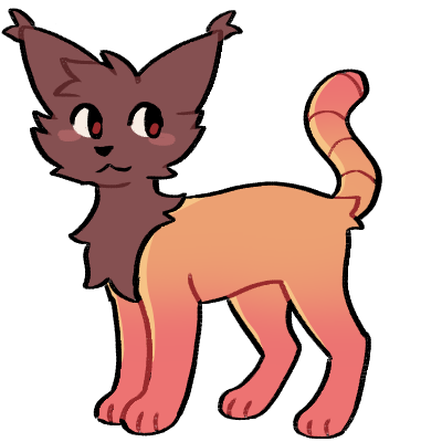 Wild Cat [DK]